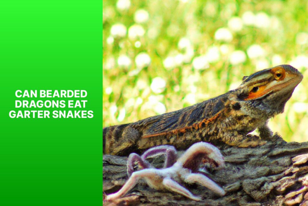Can Bearded Dragons Eat Garter Snakes