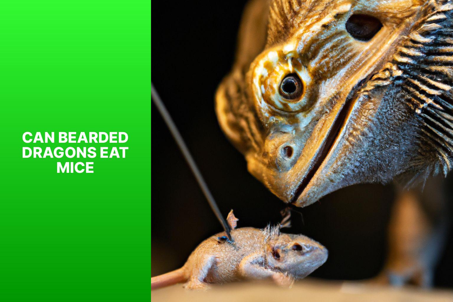 Can Bearded Dragons Eat Dead Insects Onlinebeardeddragoncare