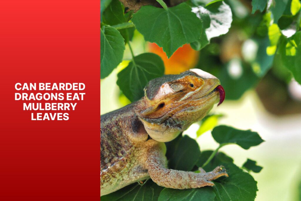 Can Bearded Dragons Eat Mulberry Leaves